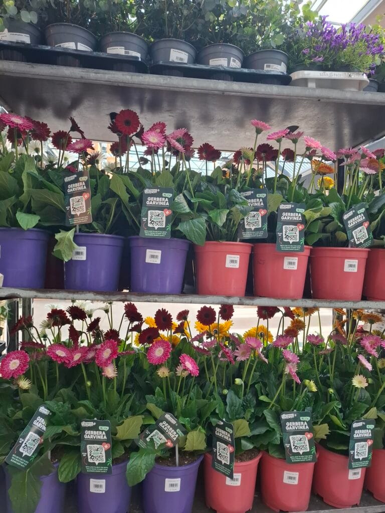 Grande Vente de Plantes by Plantes pour tous à Communale Saint-Ouen