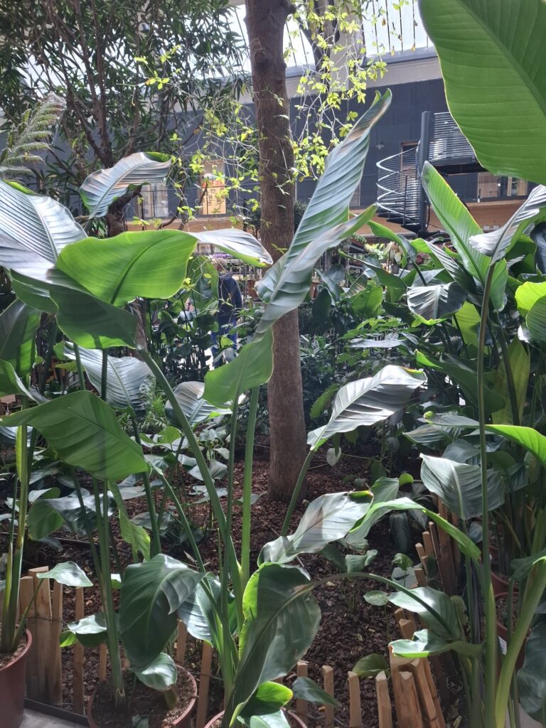 Grande Vente de Plantes by Plantes pour tous à Communale Saint-Ouen