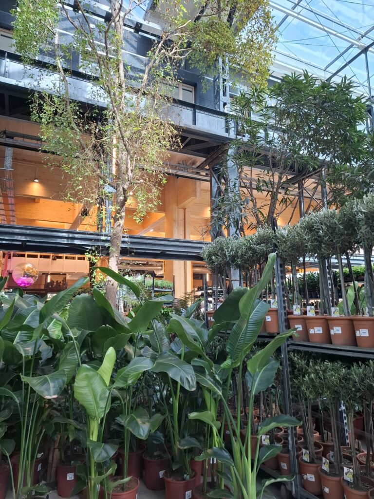 Grande Vente de Plantes by Plantes pour tous à Communale Saint-Ouen