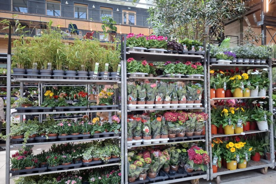 Grande Vente de Plantes by Plantes pour tous à Communale Saint-Ouen