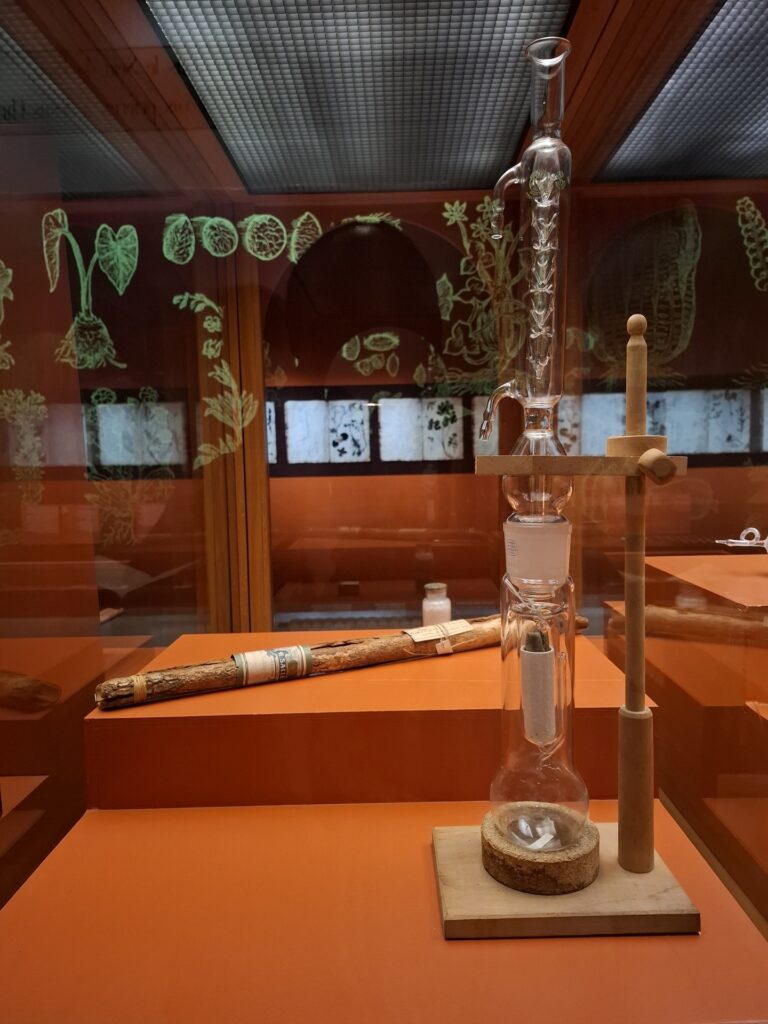 Croire et guérir. Et délivrez-nous du mal Musée d'Arts et d'histoire de Saint-Denis
