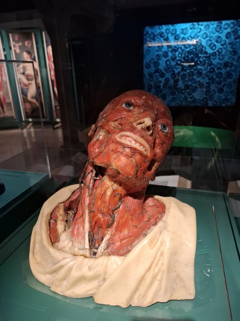 Croire et guérir. Et délivrez-nous du mal Musée d'Arts et d'histoire de Saint-Denis