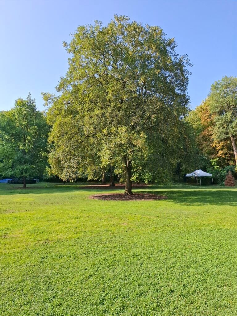18 Parc de la Légion d'honneur Saint-Denis