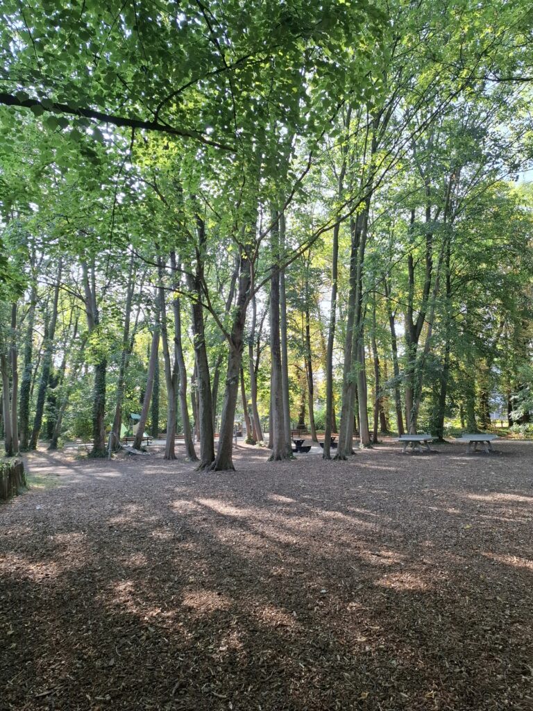 18 Parc de la Légion d'honneur Saint-Denis